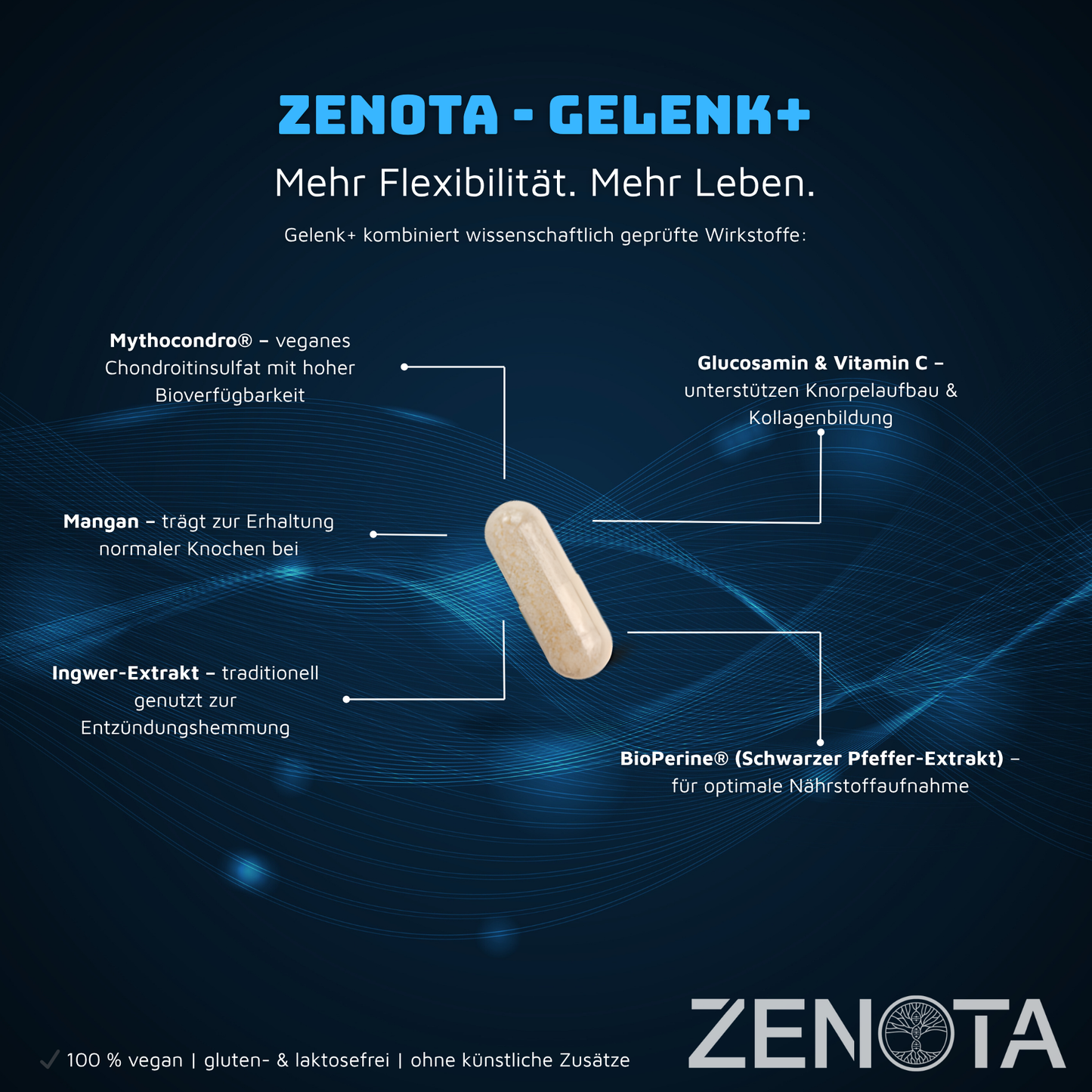 GELENK+