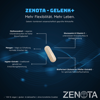 GELENK+